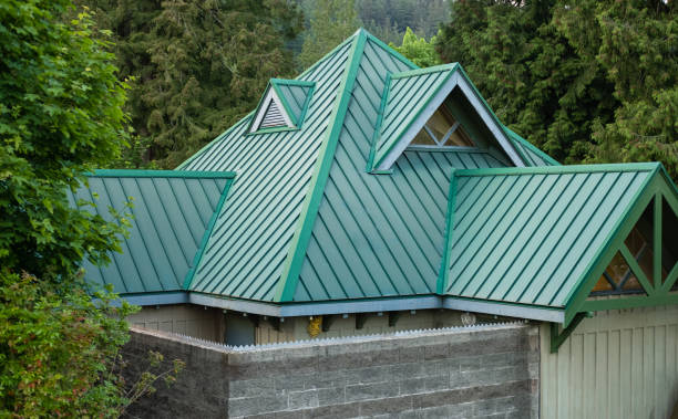 Best Sheet Metal Roofing  in Woodlawn, VA