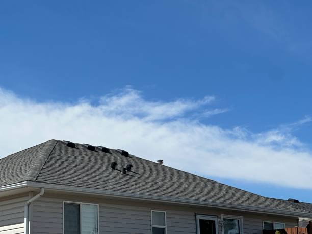 Best Asphalt Shingles Roofing  in Woodlawn, VA